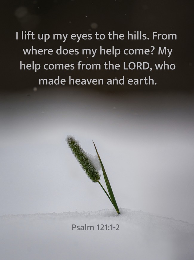 I lift up my eyes to the hills. From where does my help come? My help comes from the LORD, who made heaven and earth. - Psalm 121:1-2