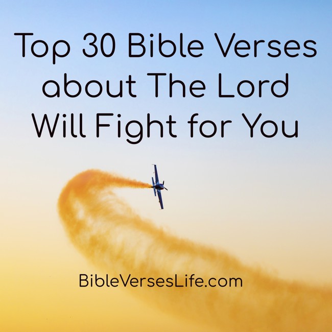 Top 30 Bible Verses about The Lord Will Fight for You