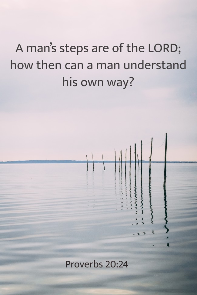 A man’s steps are of the LORD; how then can a man understand his own way? - Proverbs 20:24