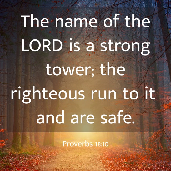 The name of the LORD is a strong tower; the righteous run to it and are safe. - Proverbs 18:10