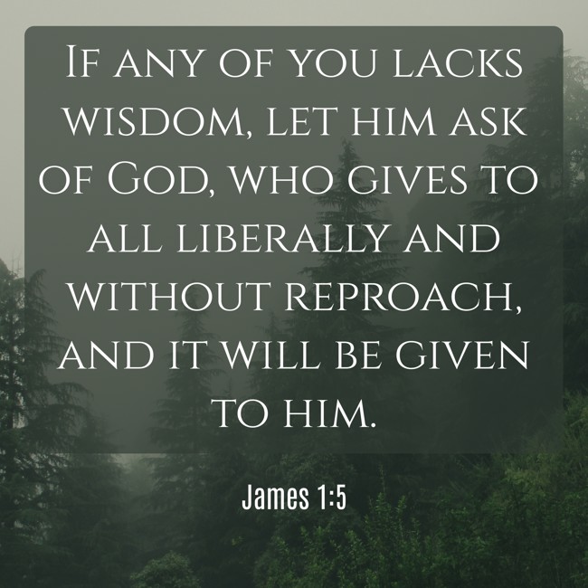 If any of you lacks wisdom, let him ask of God, who gives to all liberally and without reproach, and it will be given to him. - James 1:5