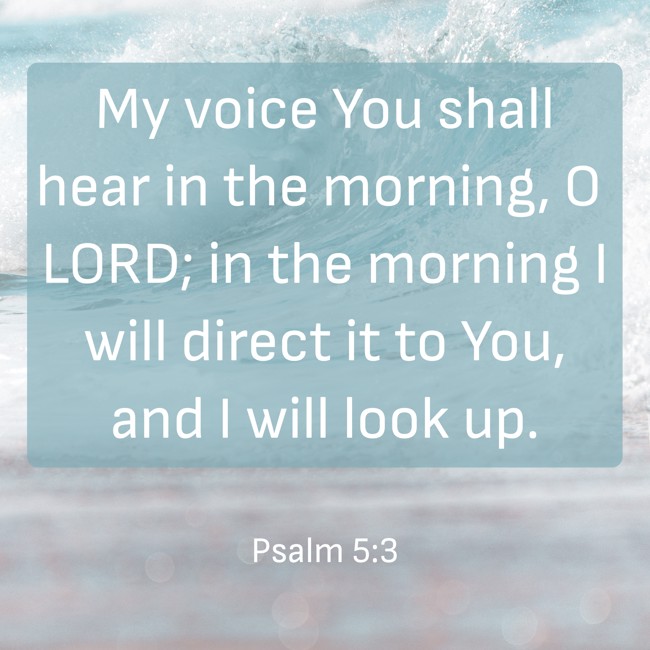 My voice You shall hear in the morning, O LORD; in the morning I will direct it to You, and I will look up. - Psalm 5:3