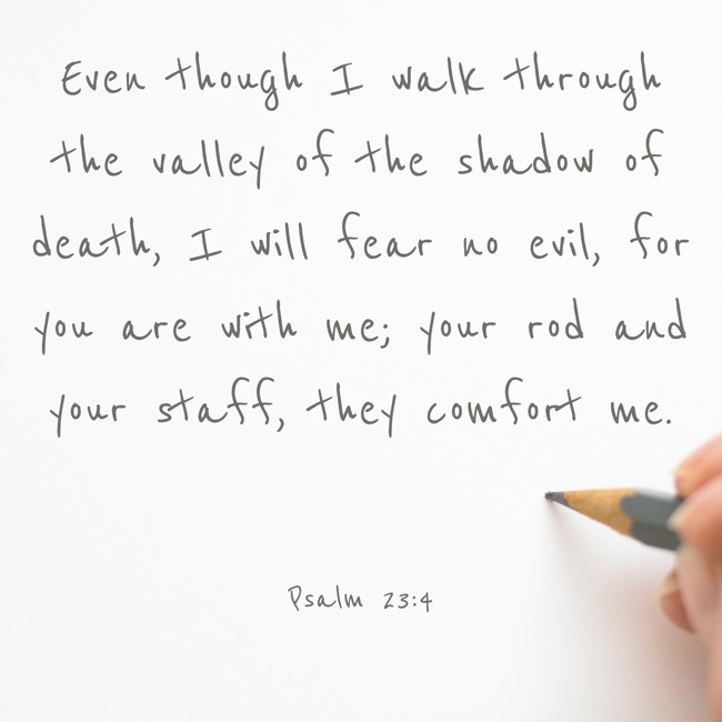 Even though I walk through the valley of the shadow of death, I will fear no evil, for you are with me; your rod and your staff, they comfort me.   - Psalm 23:4 