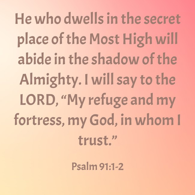  He who dwells in the secret place of the Most High will abide in the shadow of the Almighty. I will say to the LORD, “My refuge and my fortress, my God, in whom I trust.”   - Psalm 91:1-2 