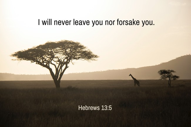 I will never leave you nor forsake you.   - Hebrews 13:5 
