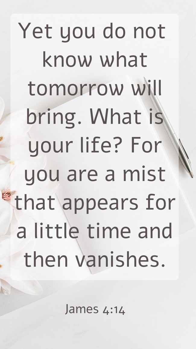  Yet you do not know what tomorrow will bring. What is your life? For you are a mist that appears for a little time and then vanishes.   - James 4:14 