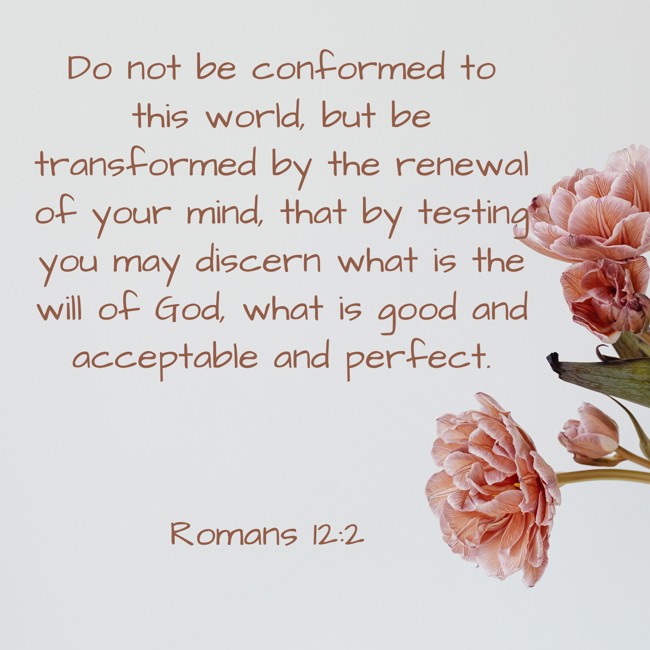  Do not be conformed to this world, but be transformed by the renewal of your mind, that by testing you may discern what is the will of God, what is good and acceptable and perfect.   - Romans 12:2 
