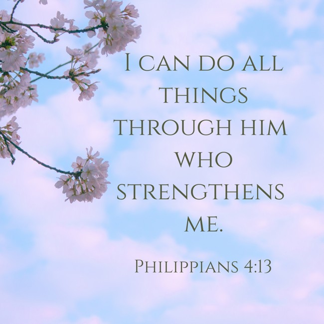  I can do all things through him who strengthens me.   - Philippians 4:13 