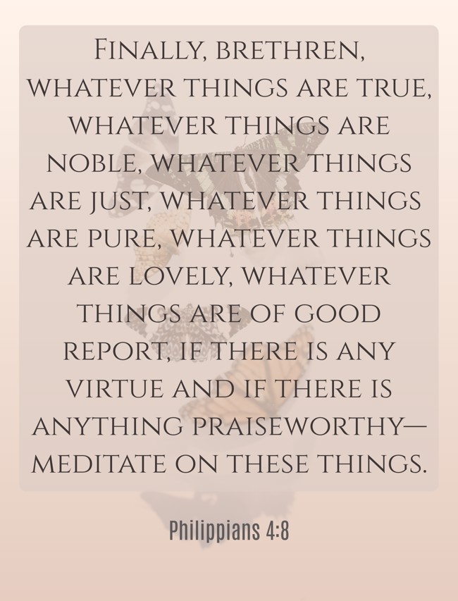  Finally, brethren, whatever things are true, whatever things are noble, whatever things are just, whatever things are pure, whatever things are lovely, whatever things are of good report, if there is any virtue and if there is anything praiseworthy—meditate on these things.   - Philippians 4:8 