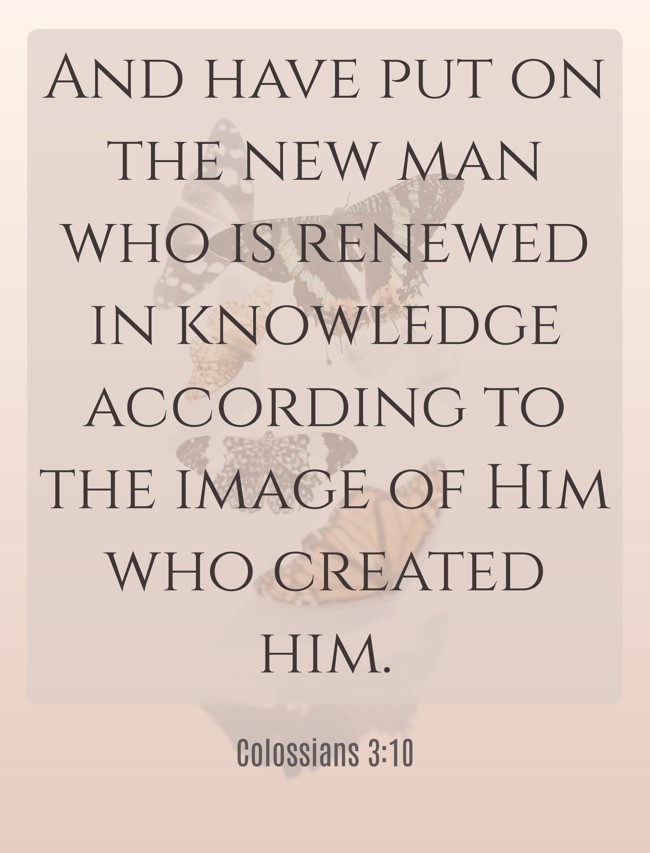  And have put on the new man who is renewed in knowledge according to the image of Him who created him.   - Colossians 3:10 