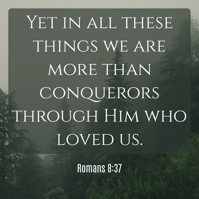  Yet in all these things we are more than conquerors through Him who loved us.   - Romans 8:37 