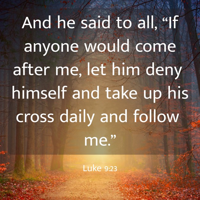  And he said to all, “If anyone would come after me, let him deny himself and take up his cross daily and follow me.”   - Luke 9:23 