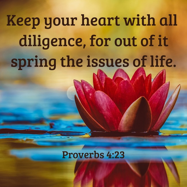  Keep your heart with all diligence, for out of it spring the issues of life.   - Proverbs 4:23 