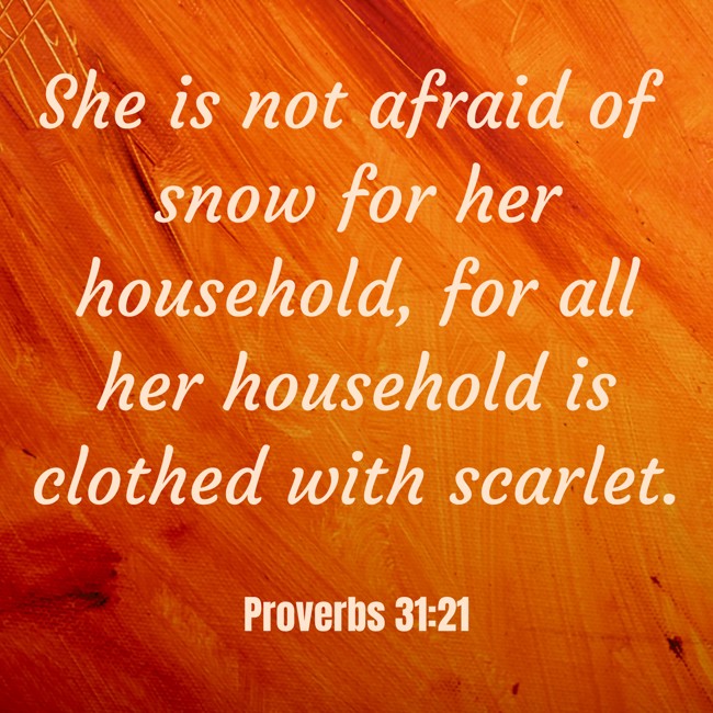She is not afraid of snow for her household, for all her household is clothed with scarlet. - Proverbs 31:21