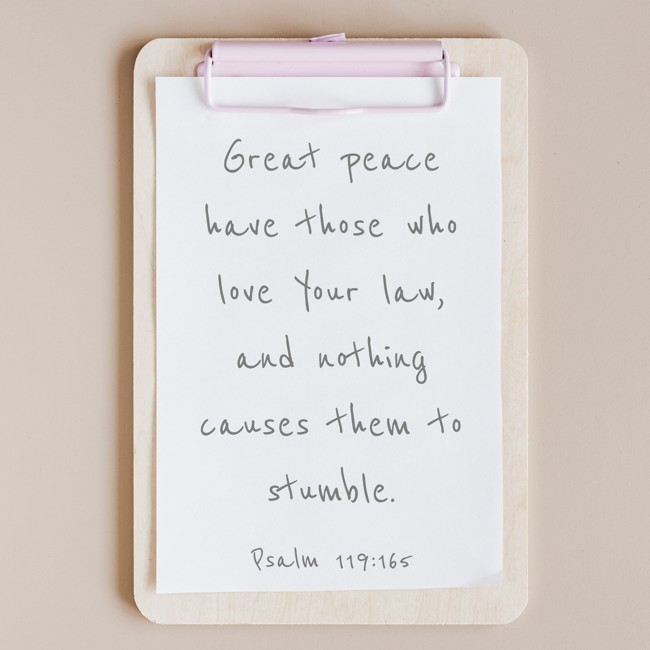 Great peace have those who love Your law, and nothing causes them to stumble. - Psalm 119:165
