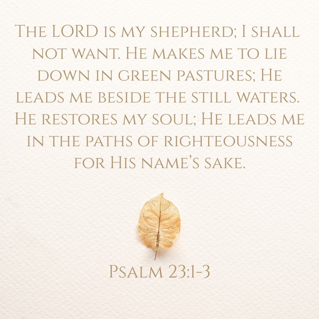 The LORD is my shepherd; I shall not want. He makes me to lie down in green pastures; He leads me beside the still waters. He restores my soul; He leads me in the paths of righteousness for His name’s sake. - Psalm 23:1-3