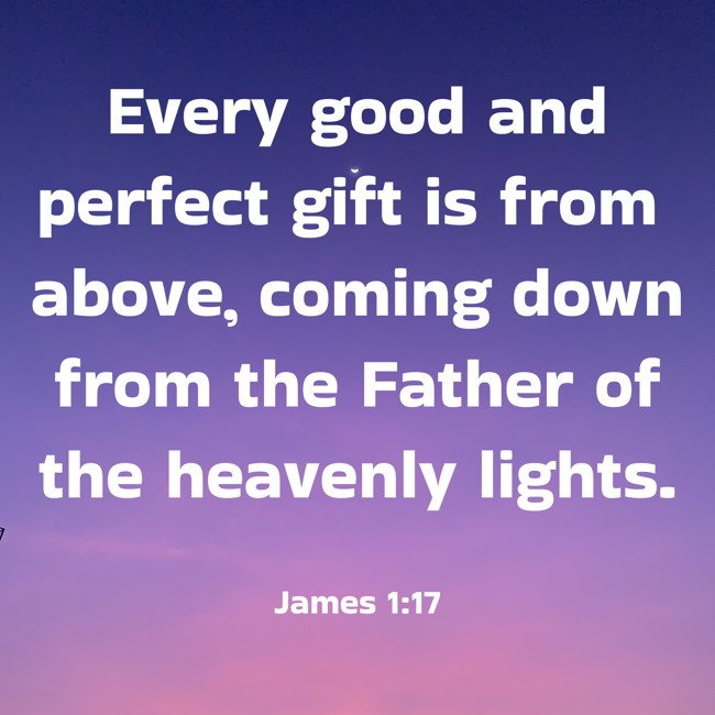 Every good and perfect gift is from above, coming down from the Father of the heavenly lights. - James 1:17