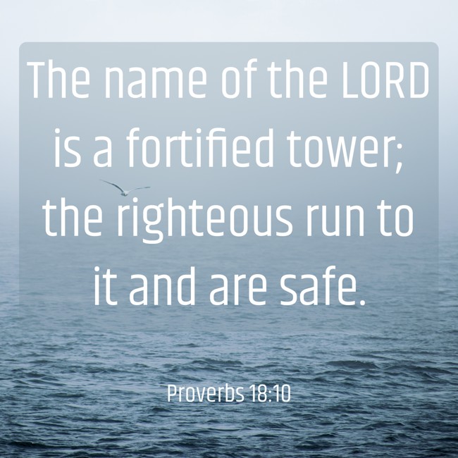 The name of the LORD is a fortified tower; the righteous run to it and are safe. - Proverbs 18:10