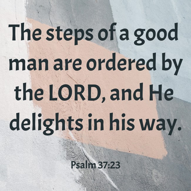 The steps of a good man are ordered by the LORD, and He delights in his way. - Psalm 37:23