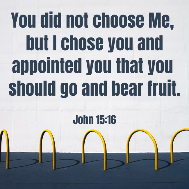 You did not choose Me, but I chose you and appointed you that you should go and bear fruit. - John 15:16