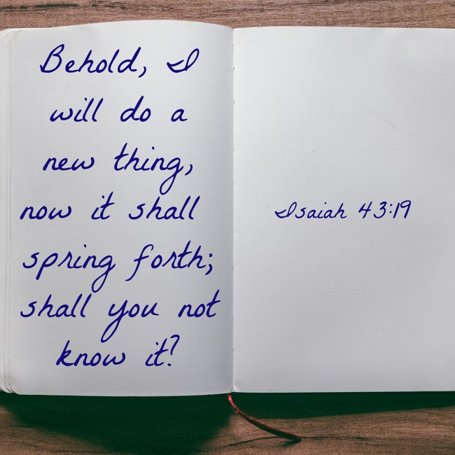 Behold, I will do a new thing, now it shall spring forth; shall you not know it? - Isaiah 43:19