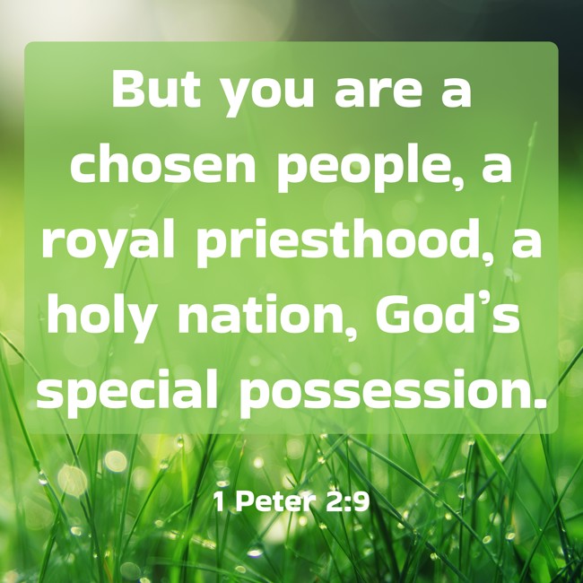 But you are a chosen people, a royal priesthood, a holy nation, God’s special possession. - 1 Peter 2:9