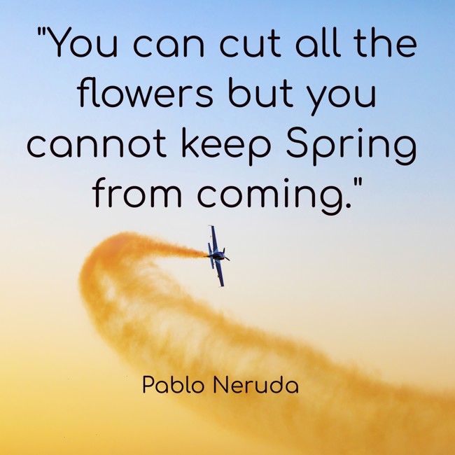You can cut all the flowers but you cannot keep Spring from coming. - Pablo Neruda