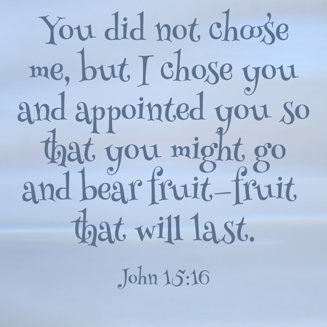 You did not choose me, but I chose you and appointed you so that you might go and bear fruit—fruit that will last. - John 15:16