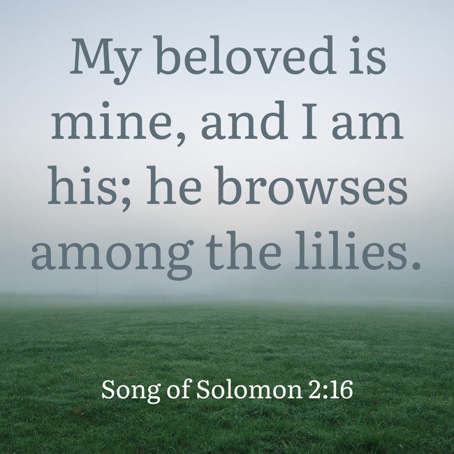 My beloved is mine, and I am his; he browses among the lilies. - Song of Solomon 2:16