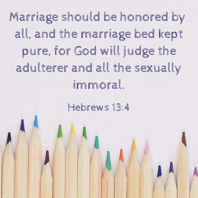 Marriage should be honored by all, and the marriage bed kept pure, for God will judge the adulterer and all the sexually immoral. - Hebrews 13:4