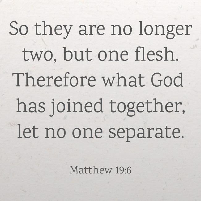 So they are no longer two, but one flesh. Therefore what God has joined together, let no one separate. - Matthew 19:6