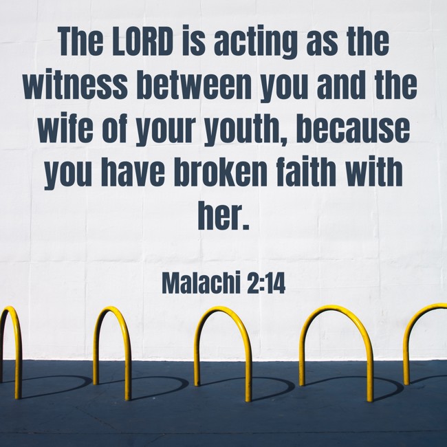 The LORD is acting as the witness between you and the wife of your youth, because you have broken faith with her. - Malachi 2:14