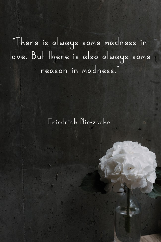 There is always some madness in love. But there is also always some reason in madness. - Friedrich Nietzsche