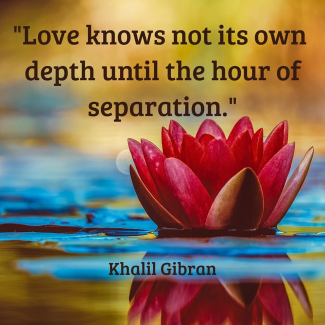 Love knows not its own depth until the hour of separation. - Khalil Gibran