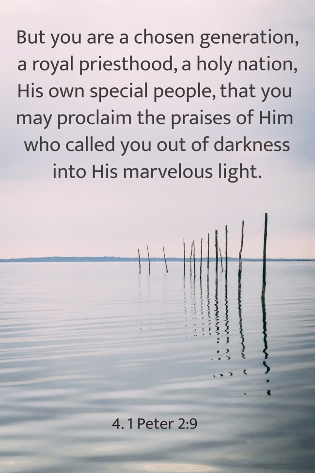  But you are a chosen generation, a royal priesthood, a holy nation, His own special people, that you may proclaim the praises of Him who called you out of darkness into His marvelous light.
 - 4. 1 Peter 2:9 