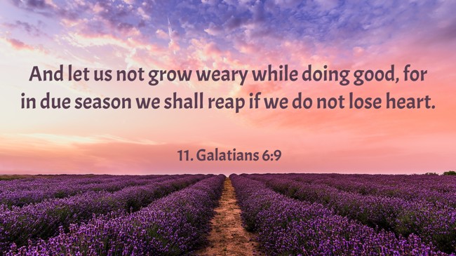  And let us not grow weary while doing good, for in due season we shall reap if we do not lose heart.
 - 11. Galatians 6:9 