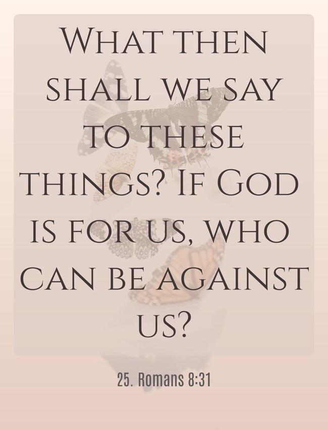  What then shall we say to these things? If God is for us, who can be against us?
 - 25. Romans 8:31 