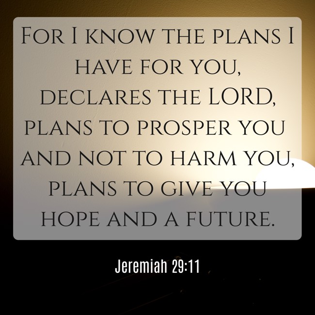  For I know the plans I have for you, declares the LORD, plans to prosper you and not to harm you, plans to give you hope and a future.   - Jeremiah 29:11 
