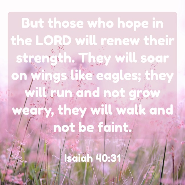  But those who hope in the LORD will renew their strength. They will soar on wings like eagles; they will run and not grow weary, they will walk and not be faint.   - Isaiah 40:31 