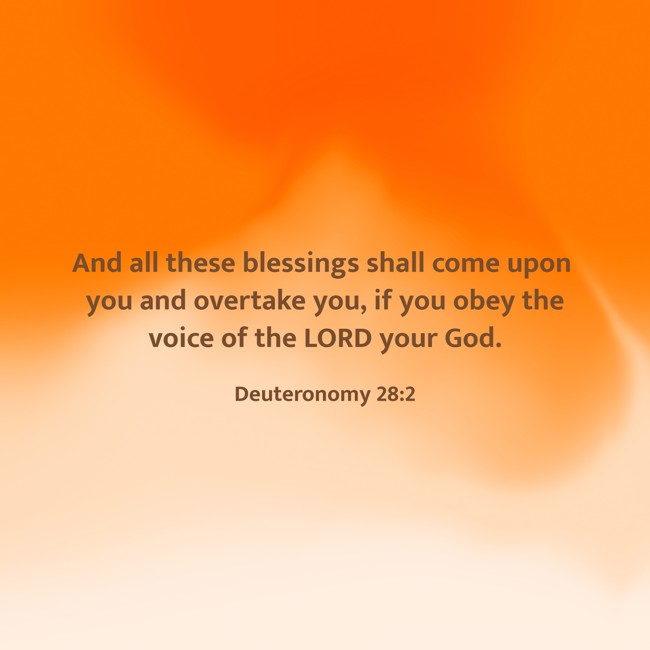 And all these blessings shall come upon you and overtake you, if you obey the voice of the LORD your God. - Deuteronomy 28:2