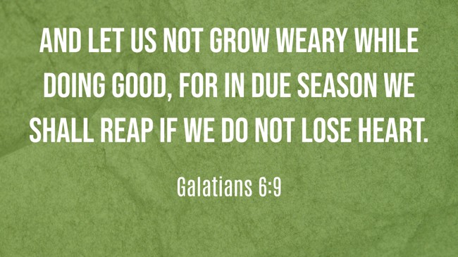  And let us not grow weary while doing good, for in due season we shall reap if we do not lose heart.   - Galatians 6:9 