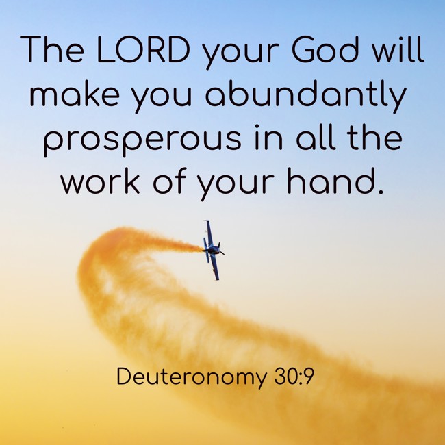 The LORD your God will make you abundantly prosperous in all the work of your hand. - Deuteronomy 30:9