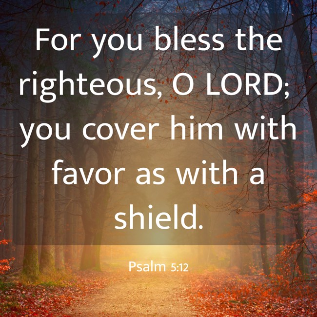 For you bless the righteous, O LORD; you cover him with favor as with a shield. - Psalm 5:12