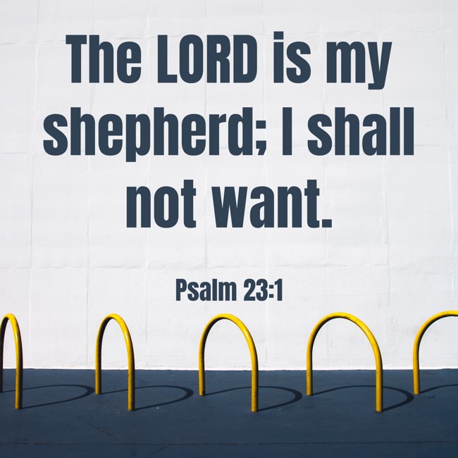  The LORD is my shepherd; I shall not want.   - Psalm 23:1 