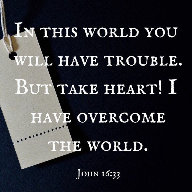  In this world you will have trouble. But take heart! I have overcome the world.   - John 16:33 