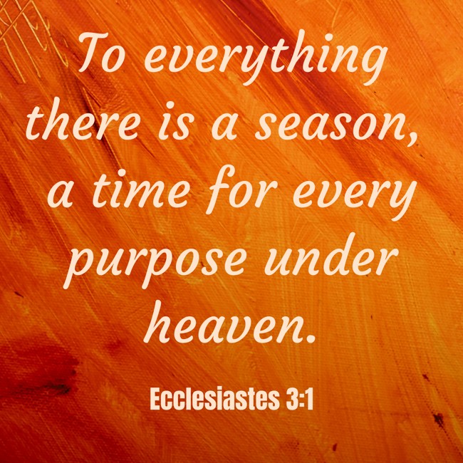  To everything there is a season, a time for every purpose under heaven.   - Ecclesiastes 3:1 