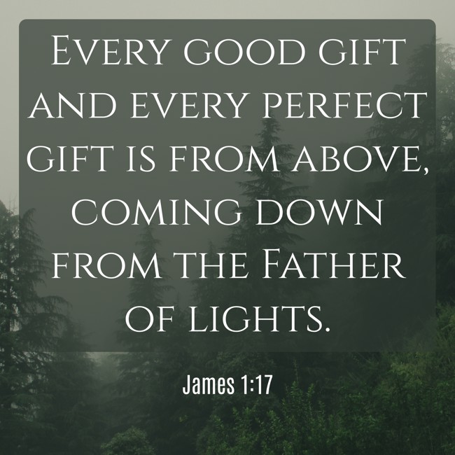 Every good gift and every perfect gift is from above, coming down from the Father of lights. - James 1:17