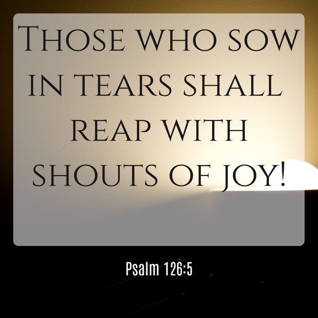 Those who sow in tears shall reap with shouts of joy! - Psalm 126:5