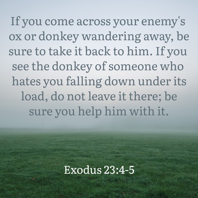 If you come across your enemy's ox or donkey wandering away, be sure to take it back to him. If you see the donkey of someone who hates you falling down under its load, do not leave it there; be sure you help him with it. - Exodus 23:4-5