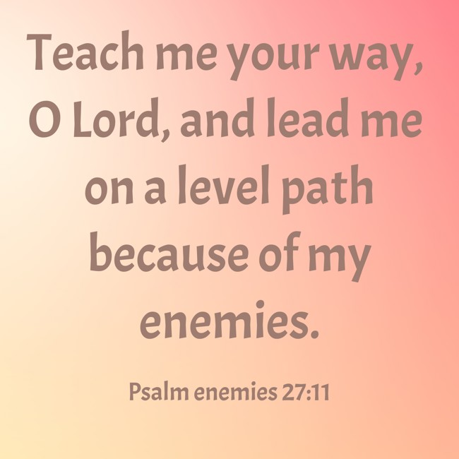Teach me your way, O Lord, and lead me on a level path because of my enemies. - Psalm enemies 27:11